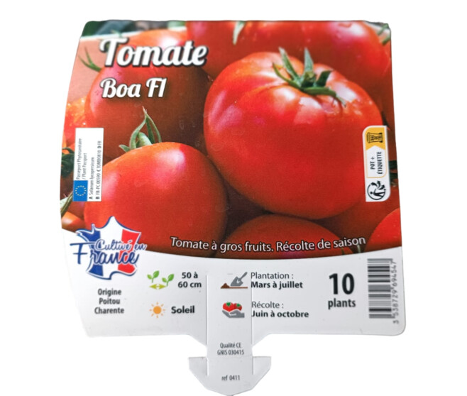 TOMATE BOA BQ10