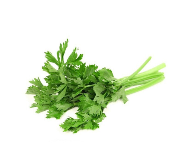 CELERI A COUPER BQ10