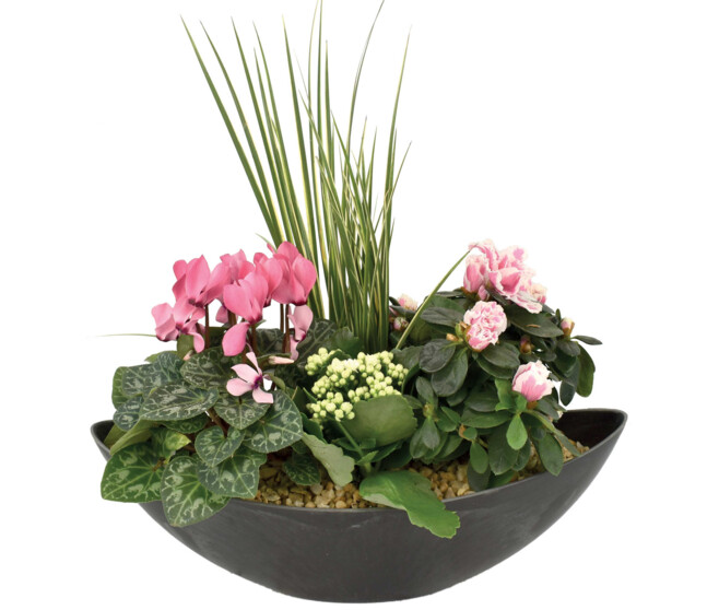 BAC EXT FLEUR