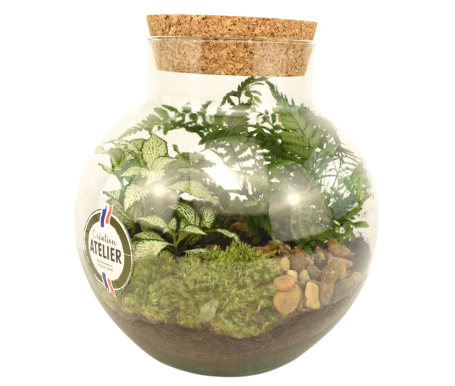 TERRARIUM ARCHELON 20