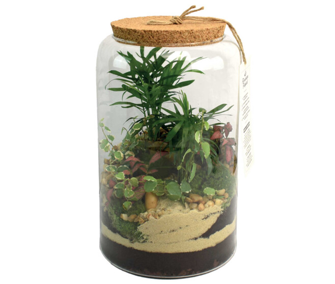 TERRARIUM GOPHERUS 20