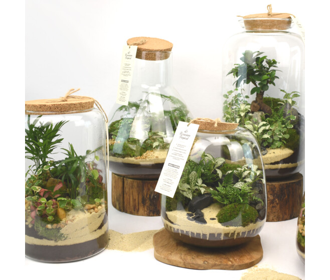 TERRARIUM GOPHERUS 20