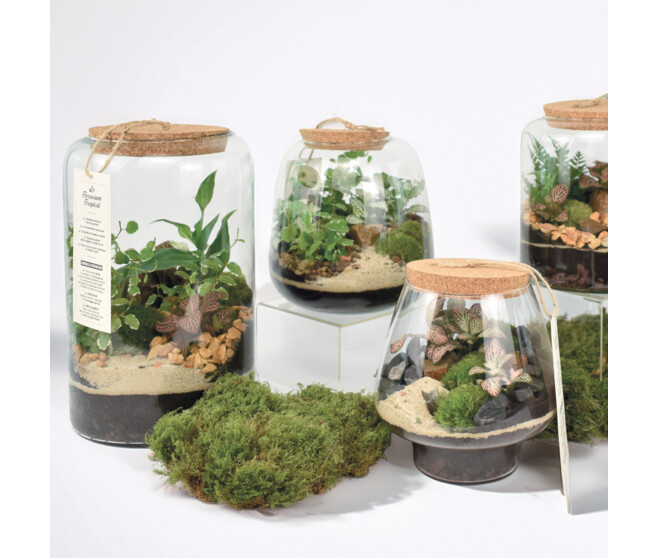 TERRARIUM GOPHERUS 20