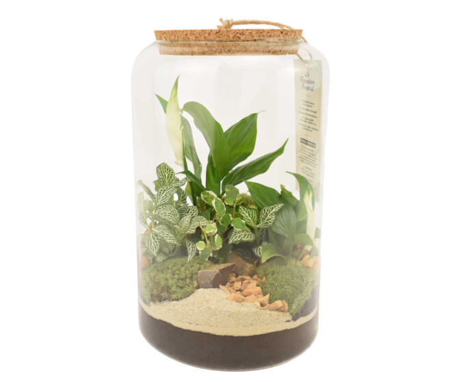 TERRARIUM GOPHERUS 20