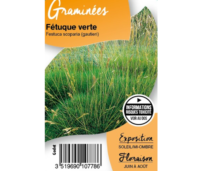 FESTUCA SCOPARIA BQ10