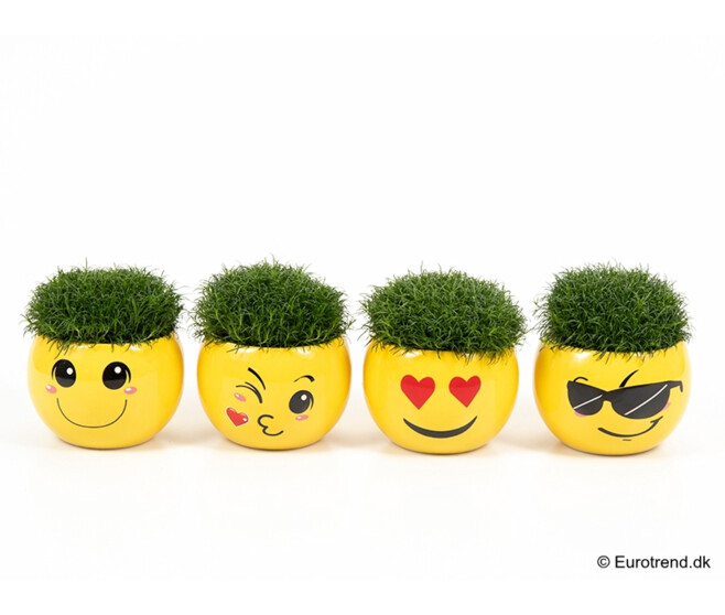 SAGINE CERAM SMILEY