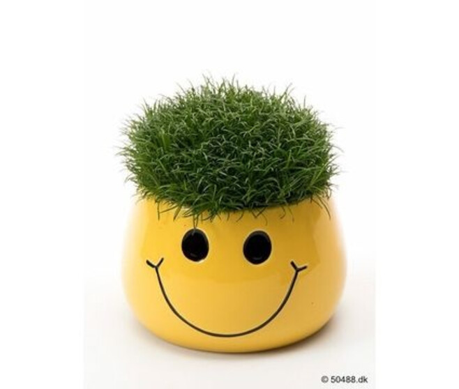 SAGINE CERAM SMILEY