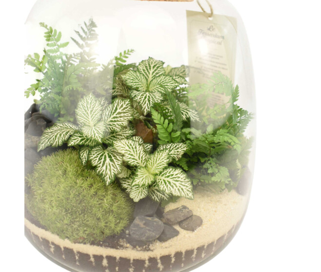 TERRARIUM OTHELLO 20