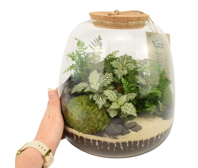 TERRARIUM OTHELLO 20