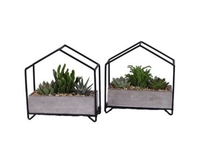 SUCCULENTE X3 JARD BOIS METAL