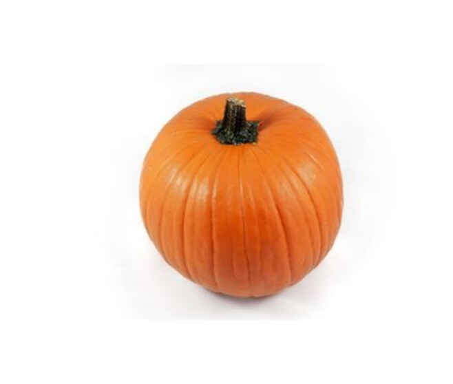 CUCURBITACEE HALLOWEEN