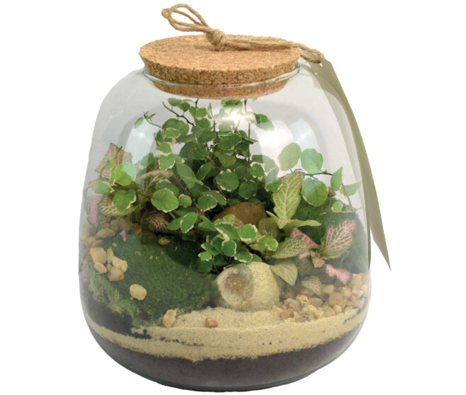 TERRARIUM EMYS 20