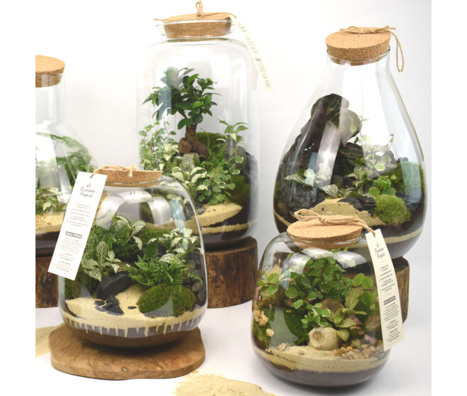 TERRARIUM EMYS 20