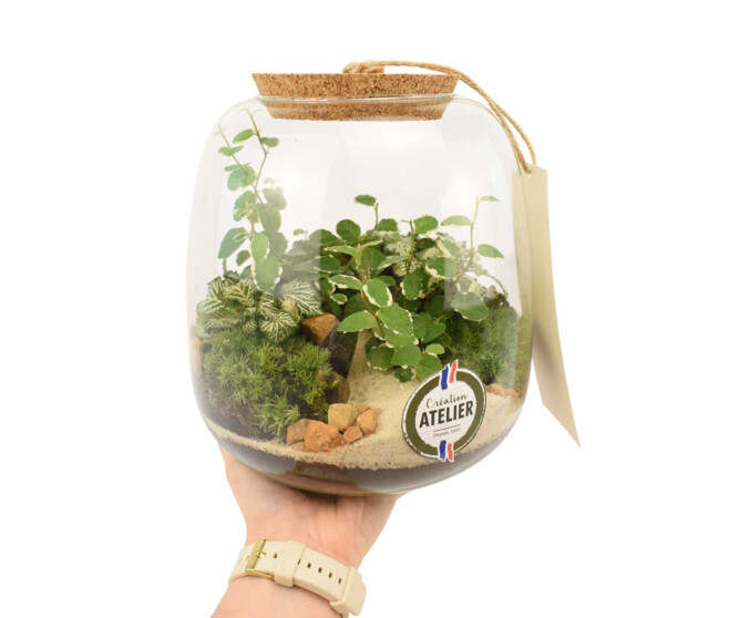 TERRARIUM EMYS 20