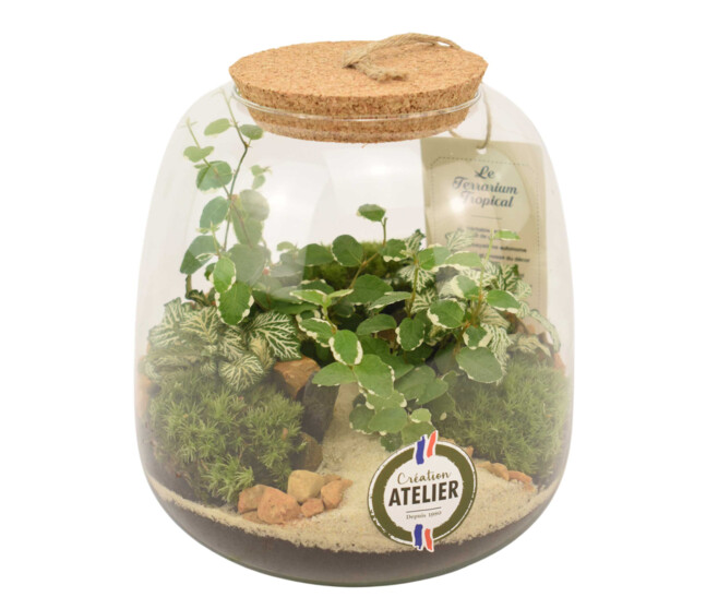 TERRARIUM EMYS 20