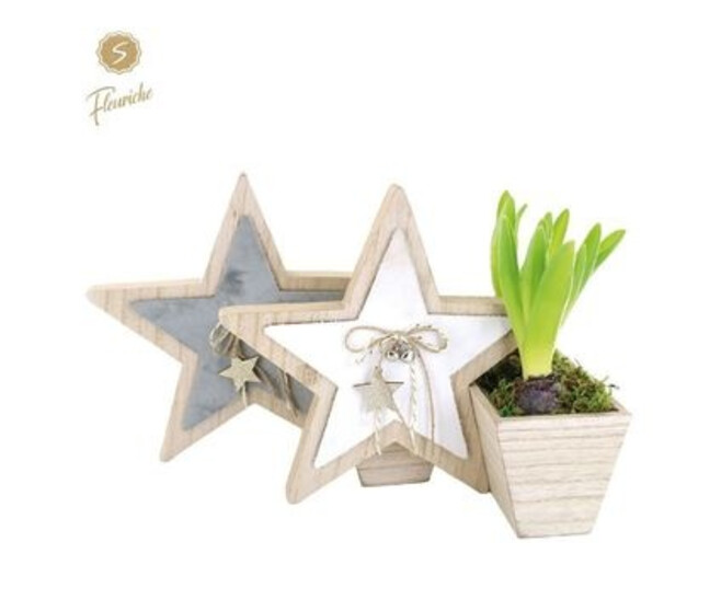 JACINTHE X1 DECO ETOILE