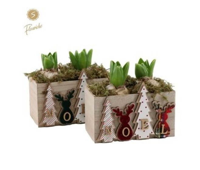 JACINTHE X2 BOIS DECO