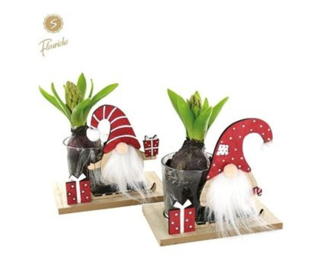 JACINTHE X1 DECO NOEL