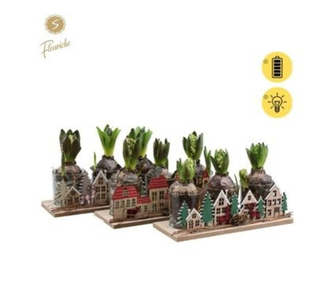 JACINTHE X3 DECO BOIS