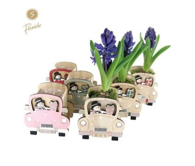 JACINTHE X1 VOITURE BOIS