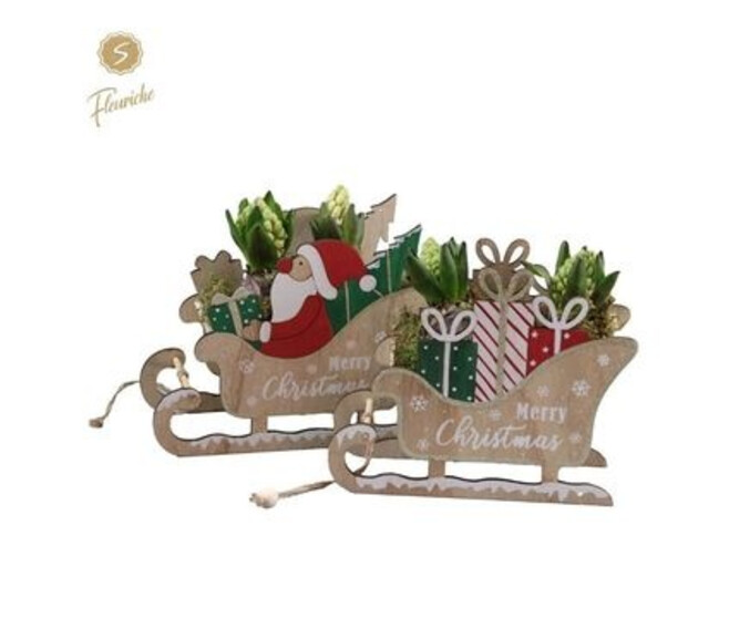 JACINTHE X2 LUGE BOIS