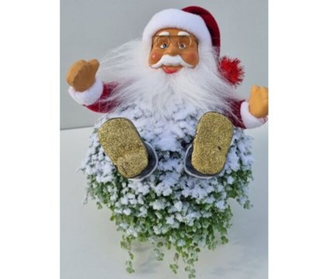 HELXINE GIVRE PERE NOEL