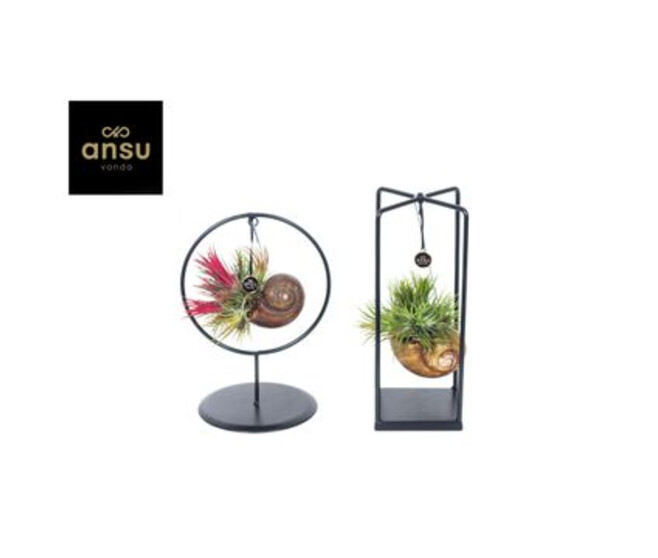 TILLANDSIA SUPPORT METAL