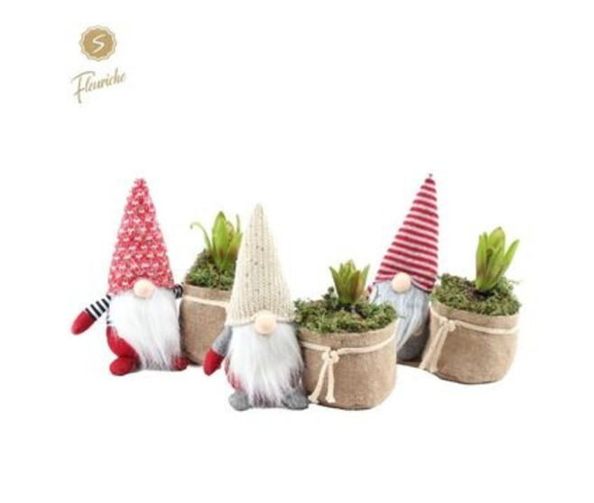 JACINTHE X1 SAC PERE NOEL