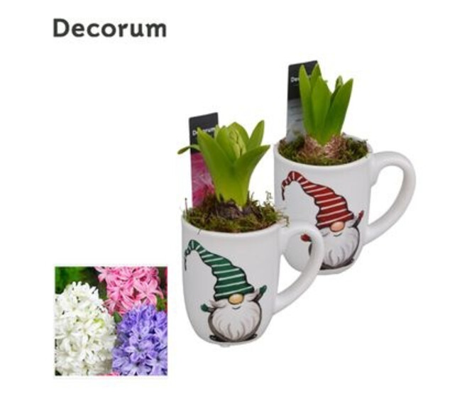 JACINTHE X1 MUG CERAM