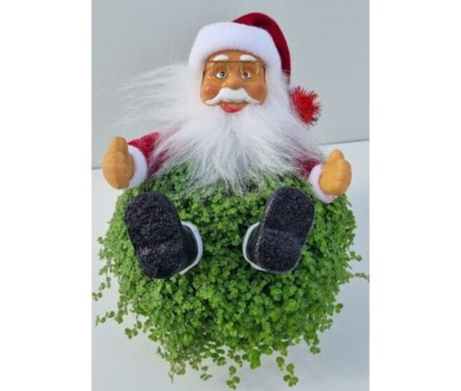 HELXINE DECO PERE NOEL