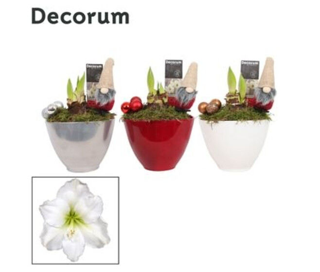 AMARYLLIS 2TIGES BLANCHE DECO CERAM