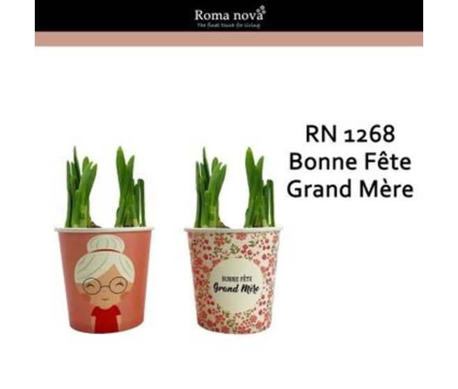 NARCISSE T.A.T. P CARTON