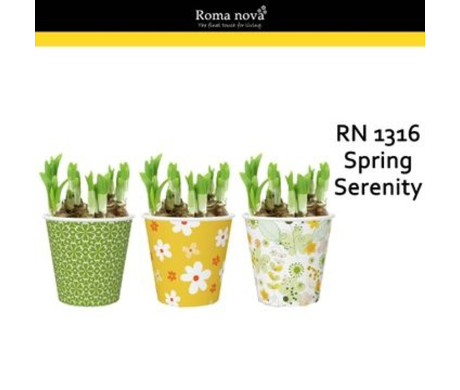 NARCISSE T.A.T. P CARTON