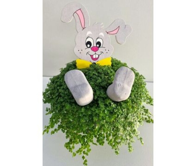 HELXINE VERTE DECO LAPIN