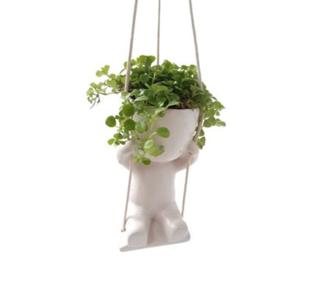 PILEA CERAM SUSP