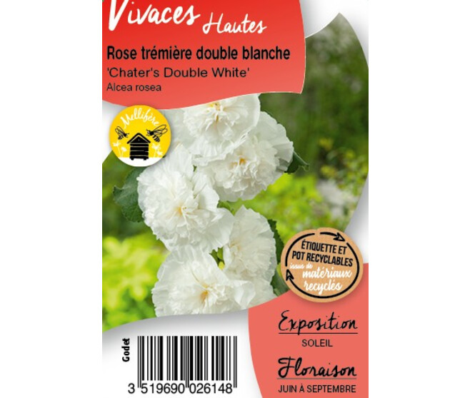 ALCEA ROSEA 'CHATER'S DOUBLE W BQ10