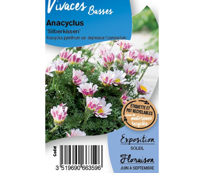 ANACYCLUS PYRETHRUM DEPRESSUS BQ10