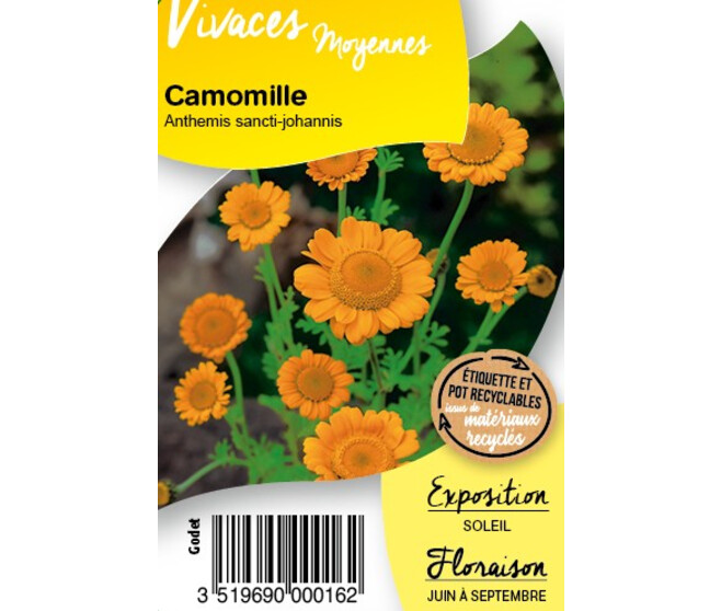 ANTHEMIS SANCTI JOHANNIS BQ10