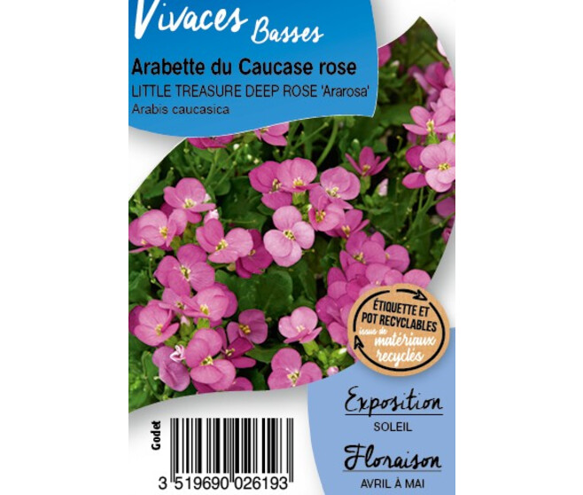 ARABIS CAUCASICA DEEP ROSE BQ10