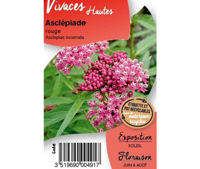ASCLEPIAS INCARNATA BQ10