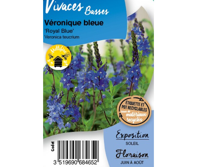 VERONIQUE TEUCRIUM ROYAL BLUE BQ10