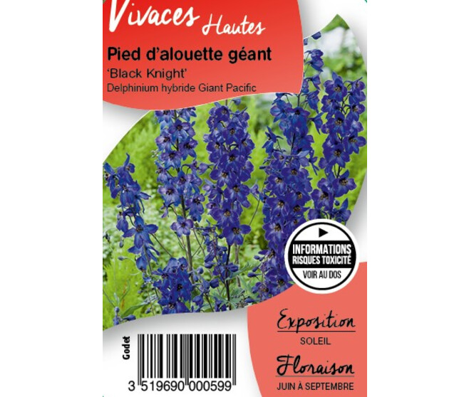 DELPHINIUM PACIFIC BLACK KNIGH BQ10