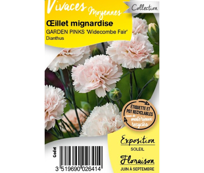OEILLET PLUMARIUS WIDECOMBE FAIR BQ10