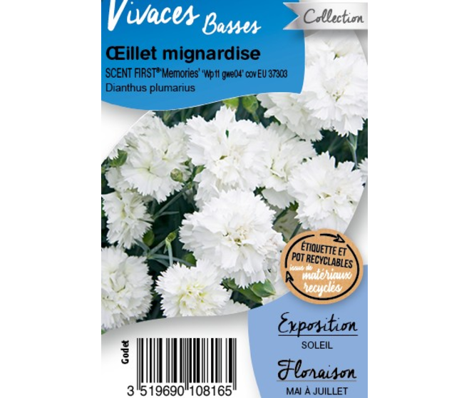 OEILLET MIGNARDISE MEMORIES BQ10