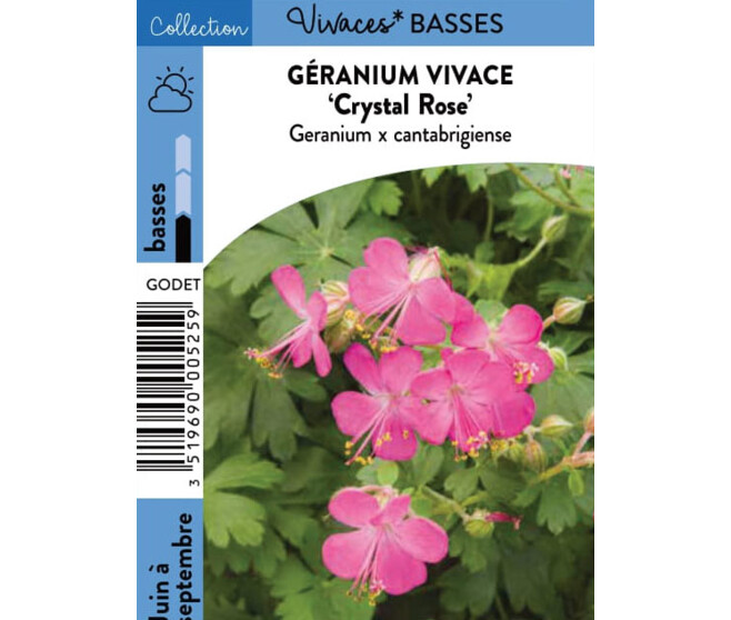 GERANIUM CANTABRIGIENSE CRYSTAL BQ10