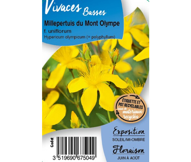 HYPERICUM OLYMPICUM UNIFLOR BQ10
