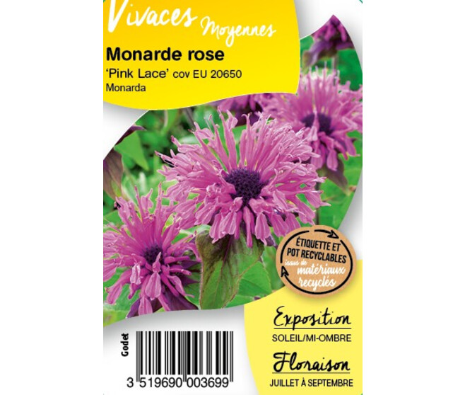 MONARDA DIDYMA PINK LACE BQ10