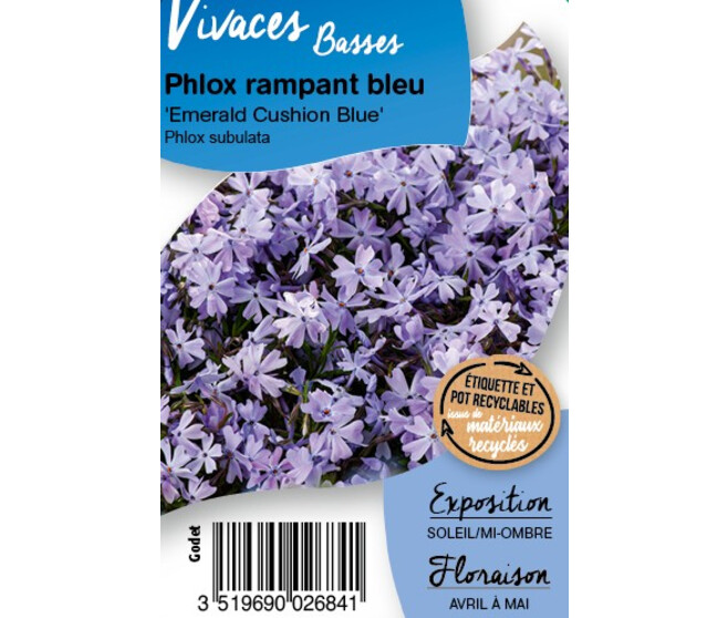 PHLOX SUBULATA EMERALD CUSHIO BQ10