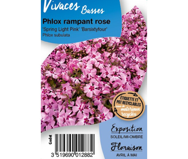 PHLOX SUBULATA SPRING LIGHT PINK BQ10