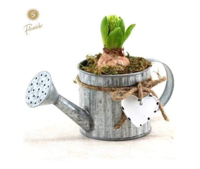 JACINTHE X1 ARROSOIR ZINC